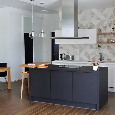 公寓 Cozy 2br In Kalamaja + Rooftop Terrace 塔林