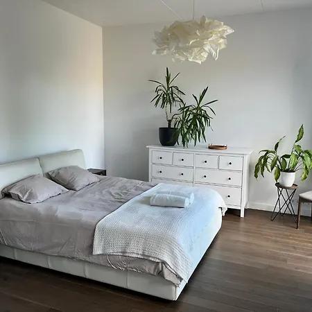 Daire Cozy 2br In Kalamaja With Rooftop Terrace, Cinema, Keyless Check-in *